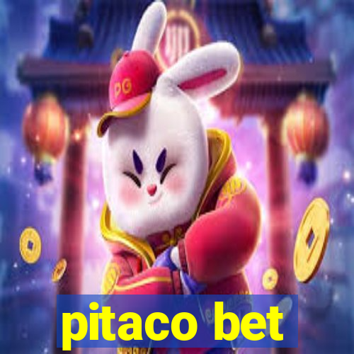 pitaco bet